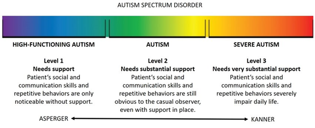 Autism Spectrum Disorder